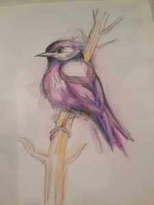 Pássaro - Nídia